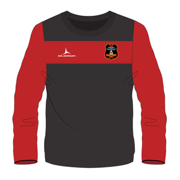 Carmarthen Athletic Adult's Training Top
