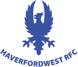 Haverfordwest RFC Adult's Flux Polo Shirt